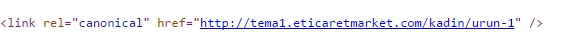 Canonical Etiketi Oluşturma - Softtr E-Ticaret Sitesi Yazılımları